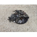 МКПП (механическая коробка переключения передач) TOYOTA CARINA E 1992-1997